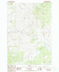 Keyes Mtn topographic map thumbnail
