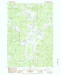 Kings Valley 1984 topographic map preview