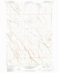 Lake on The Trail 1980 topographic map thumbnail