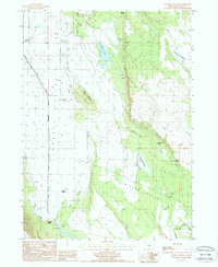 Langell Valley 1988 topographic map preview