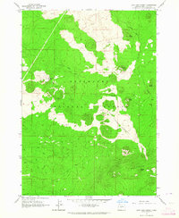 Lava Cast Forest 1963 topographic map thumbnail