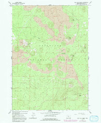 Lava Cast Forest 1963 topographic map thumbnail