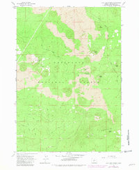 Lava Cast Forest 1963 topographic map thumbnail