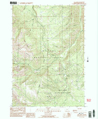 Lick Creek 1990 topographic map thumbnail
