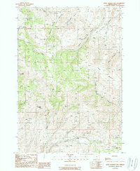 Little Lookout Mtn 1988 topographic map thumbnail