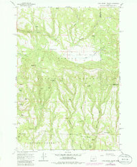 Little Summit Prairie 1966 topographic map thumbnail
