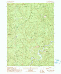 Live Oak Mountain 1990 topographic map thumbnail