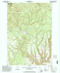 Madison Butte 1995 topographic map thumbnail