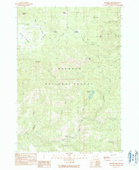 Magone Lake 1990 topographic map preview