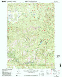 Magone Lake 1999 topographic map thumbnail