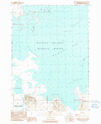 Malheur Lake West 1990 topographic map thumbnail