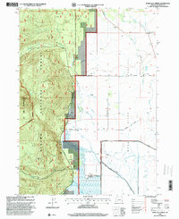 Mares Egg Spring 1998 topographic map thumbnail