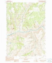 Masiker Mountain 1990 topographic map thumbnail