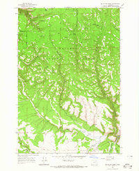 Mc Intyre Creek 1964 topographic map thumbnail