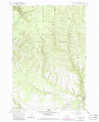 Mc Intyre Creek 1964 topographic map thumbnail