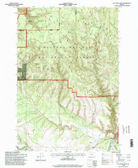 Mc Intyre Creek 1995 topographic map thumbnail