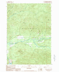 Mc Kenzie Bridge 1989 topographic map thumbnail