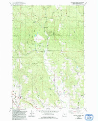 Meacham Corner 1979 topographic map thumbnail