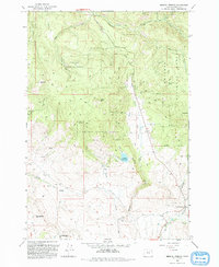 Medical Springs 1993 topographic map thumbnail