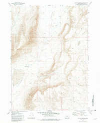 Mickey Springs 1981 topographic map thumbnail