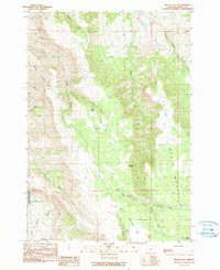 Miller Flat 1990 topographic map thumbnail