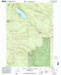 Miller Lake 1999 topographic map thumbnail
