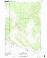 Millican 1967 topographic map preview