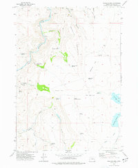 Mosquito Mtn 1973 topographic map thumbnail