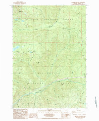 Mother Lode Mtn 1985 topographic map thumbnail