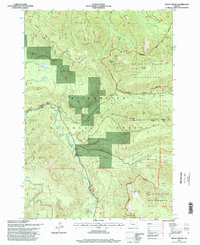 Mount Bruno 1994 topographic map preview