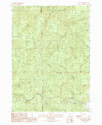 Mount Gurney 1990 topographic map preview