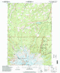 Mount Hood North 1996 topographic map thumbnail