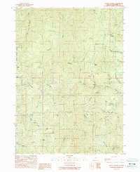 Mount Peavine 1989 topographic map thumbnail