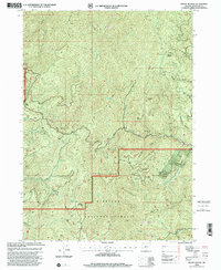 Mount Peavine 1998 topographic map thumbnail