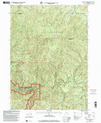 Mount Reuben 1998 topographic map thumbnail