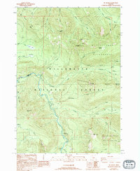 Mt. Bruno 1988 topographic map preview