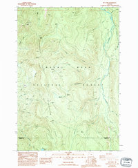 Mt. Lowe 1986 topographic map preview