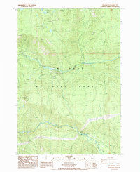 Mt. Mitchell 1985 topographic map preview