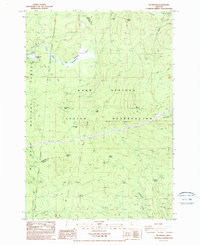 Mt. Wilson 1985 topographic map thumbnail