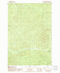 Necanicum Junction 1985 topographic map thumbnail