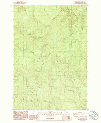 Nicolai Mtn 1985 topographic map thumbnail