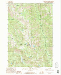 North Minam Meadows 1990 topographic map thumbnail