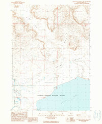 Northwest Harney Lake 1990 topographic map thumbnail