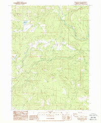 Obenchain Mtn 1988 topographic map preview