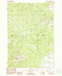 Ochoco Butte 1990 topographic map thumbnail