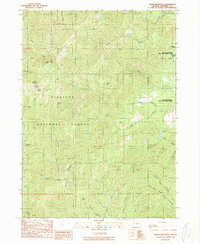 Onion Mountain 1989 topographic map thumbnail