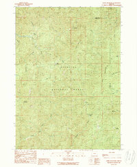 Ophir Mountain 1989 topographic map thumbnail