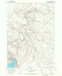 Owyhee Dam 1967 topographic map thumbnail