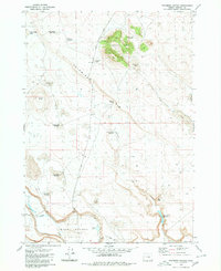 Palomino Buttes 1980 topographic map thumbnail