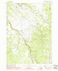 Paradise Mountain 1988 topographic map preview
